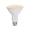 Feit Electric Feit Enhance PAR30 E26 (Medium) LED Bulb Adjustable White 75 Watt Equivalence 2 pk PAR30DM/6WYCA/2 - alternate 3